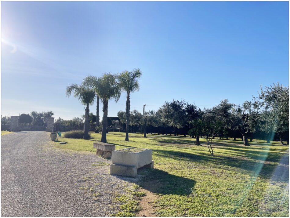 giardino, relax, natura